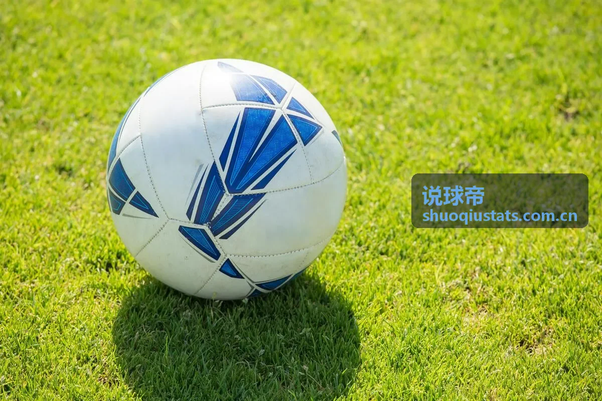 说球帝球员个人技术统计